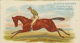1888 Allen & Ginter World's Racers (N32) #NNO Connemara Front